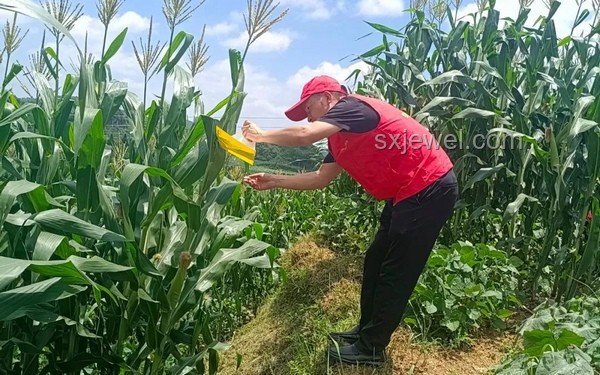 贵州玉米地深坑事件对行业的影响与洞察